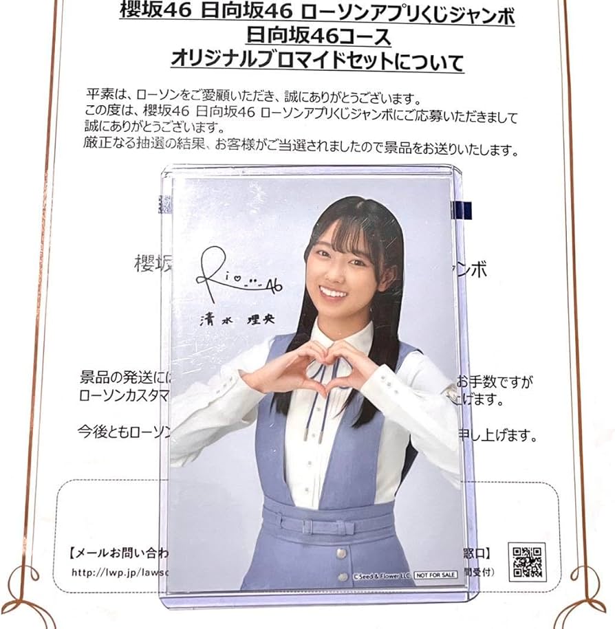 日向坂46 サインブロマイド　全メンバー 日向坂46 ビジュアル＆インタビューブック『日経